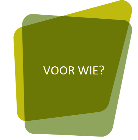 P3W-frame2 - Wie