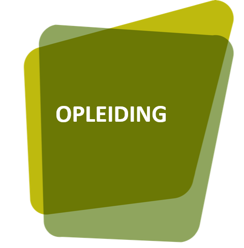 P3W-frame2 - opleiding 36 pt